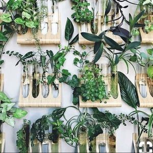 Meet your Posher, Kalyn